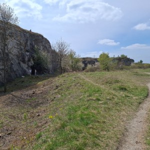 Soví výlet na Stránskou skálu a příprava na Svojsíkův závod