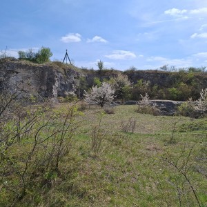 Soví výlet na Stránskou skálu a příprava na Svojsíkův závod