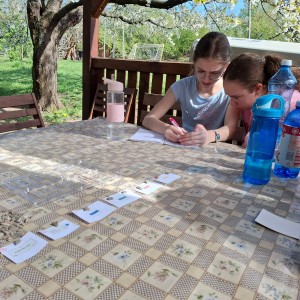 Soví výlet na Stránskou skálu a příprava na Svojsíkův závod