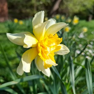 Soví výlet na Stránskou skálu a příprava na Svojsíkův závod