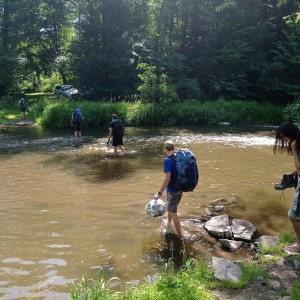 Sršní Ketkovák 2025