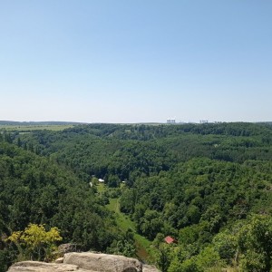 Sršní Ketkovák 2025