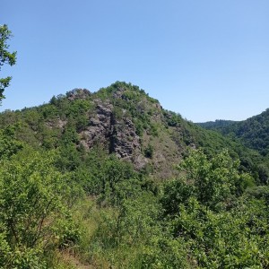 Sršní Ketkovák 2025