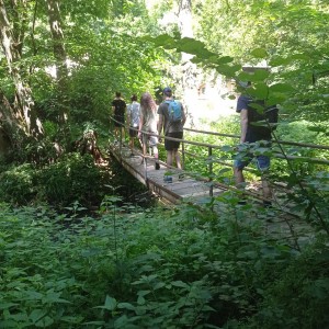 Sršní Ketkovák 2025