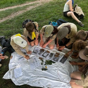 Svojsíkův závod Šlapanice 2025