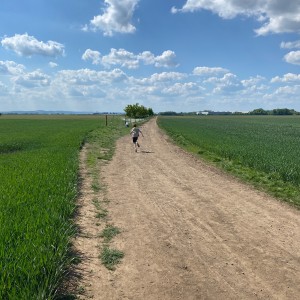 Svojsíkův závod Šlapanice 2025