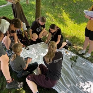 Svojsíkův závod Šlapanice 2025