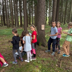 Tábor 10. den pondělí