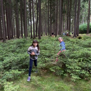 Tábor 10. den pondělí