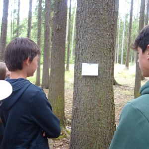 Tábor 12. den středa