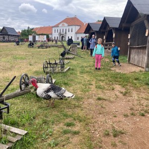 Tábor 6. den čtvrtek
