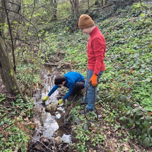 Ukliďme Hukvaldy a Potlach