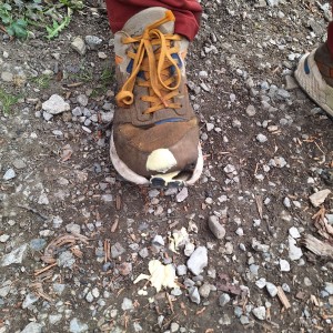 Ukliďme Hukvaldy a Potlach