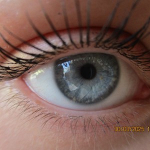 Vážčí výprava na rozhlednu a zříceninu