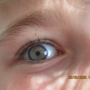 Vážčí výprava na rozhlednu a zříceninu