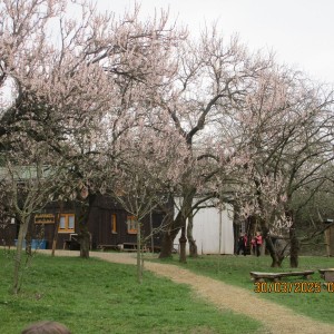 Vážčí výprava na rozhlednu a zříceninu