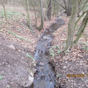 Vážčí výprava na rozhlednu a zříceninu