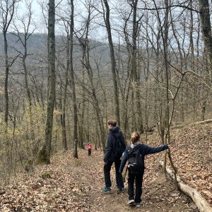 Vážčí výprava na rozhlednu a zříceninu
