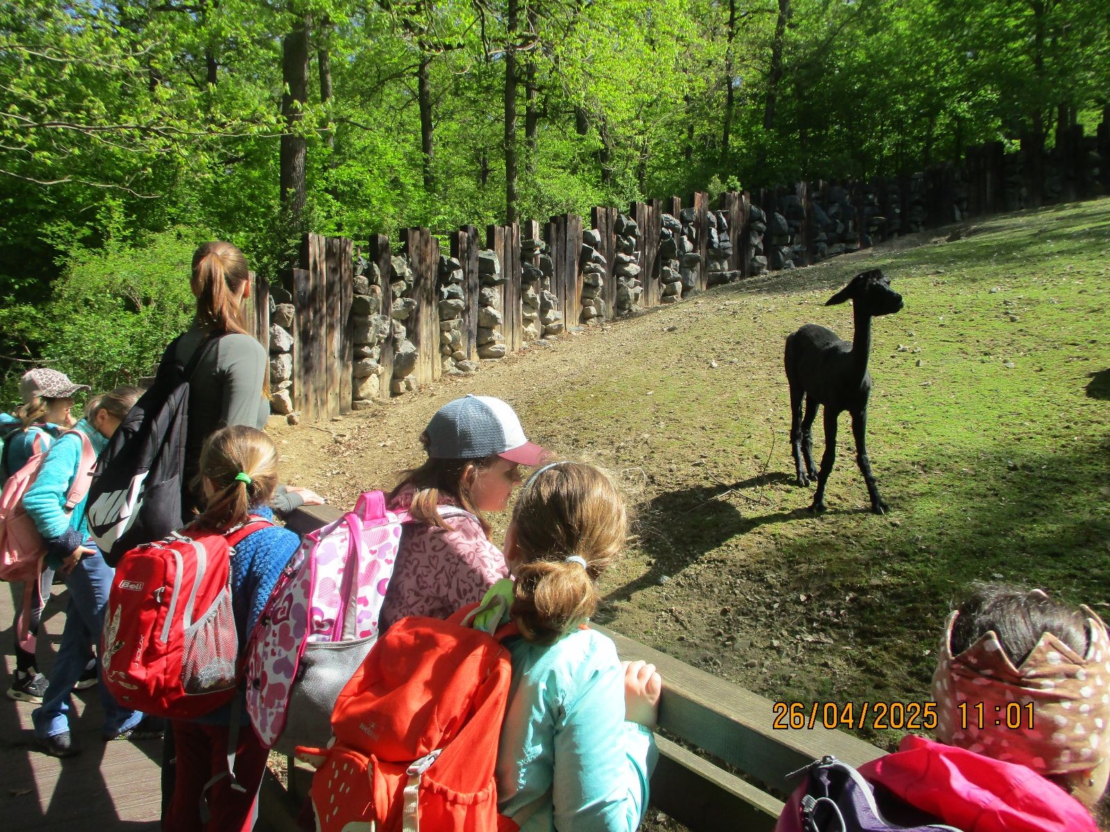 Výprava Vážek do ZOO Brno
