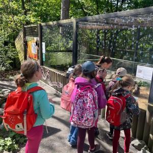 Výprava Vážek do ZOO Brno