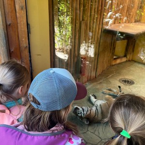 Výprava Vážek do ZOO Brno