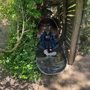 Výprava Vážek do ZOO Brno