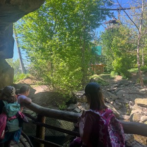 Výprava Vážek do ZOO Brno