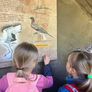 Výprava Vážek do ZOO Brno