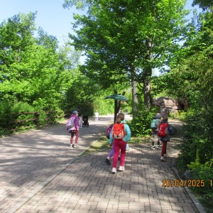Výprava Vážek do ZOO Brno