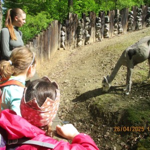 Výprava Vážek do ZOO Brno