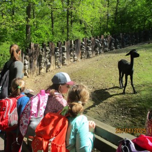 Výprava Vážek do ZOO Brno