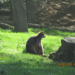 Výprava Vážek do ZOO Brno