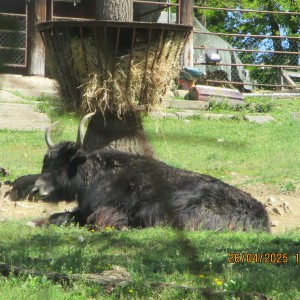 Výprava Vážek do ZOO Brno