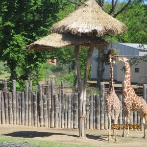 Výprava Vážek do ZOO Brno