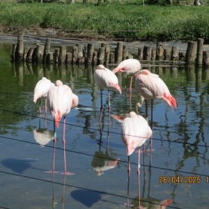 Výprava Vážek do ZOO Brno