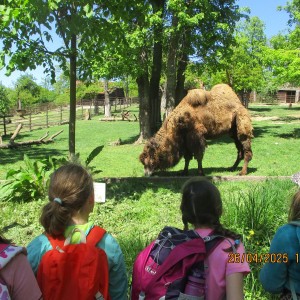 Výprava Vážek do ZOO Brno