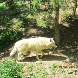 Výprava Vážek do ZOO Brno