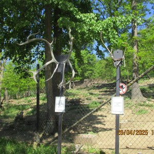 Výprava Vážek do ZOO Brno