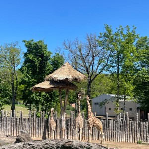 Výprava Vážek do ZOO Brno