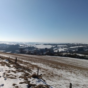 Výprava Vlků do Karasína