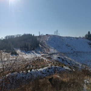 Výprava Vlků do Karasína
