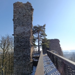 Výprava Vlků do Karasína