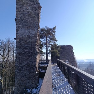 Výprava Vlků do Karasína