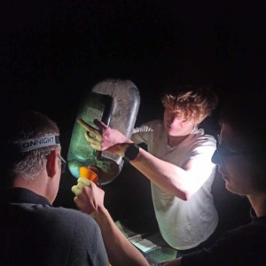 Vlčí výprava do Litovelského Pomoraví