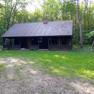 Vlčí výprava do Litovelského Pomoraví