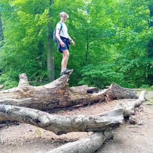 Vlčí výprava do Litovelského Pomoraví