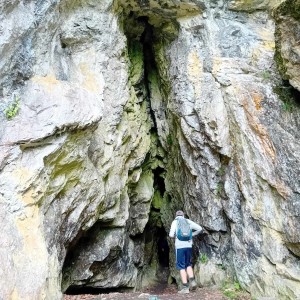 Vlčí výprava do Litovelského Pomoraví