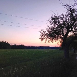 Vlčí výprava do Litovelského Pomoraví