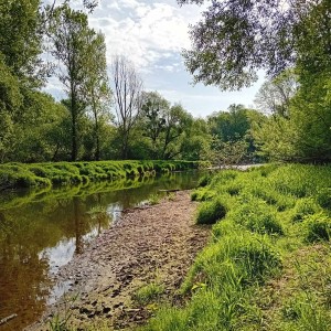 Vlčí výprava do Litovelského Pomoraví