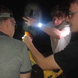 Vlčí výprava do Litovelského Pomoraví